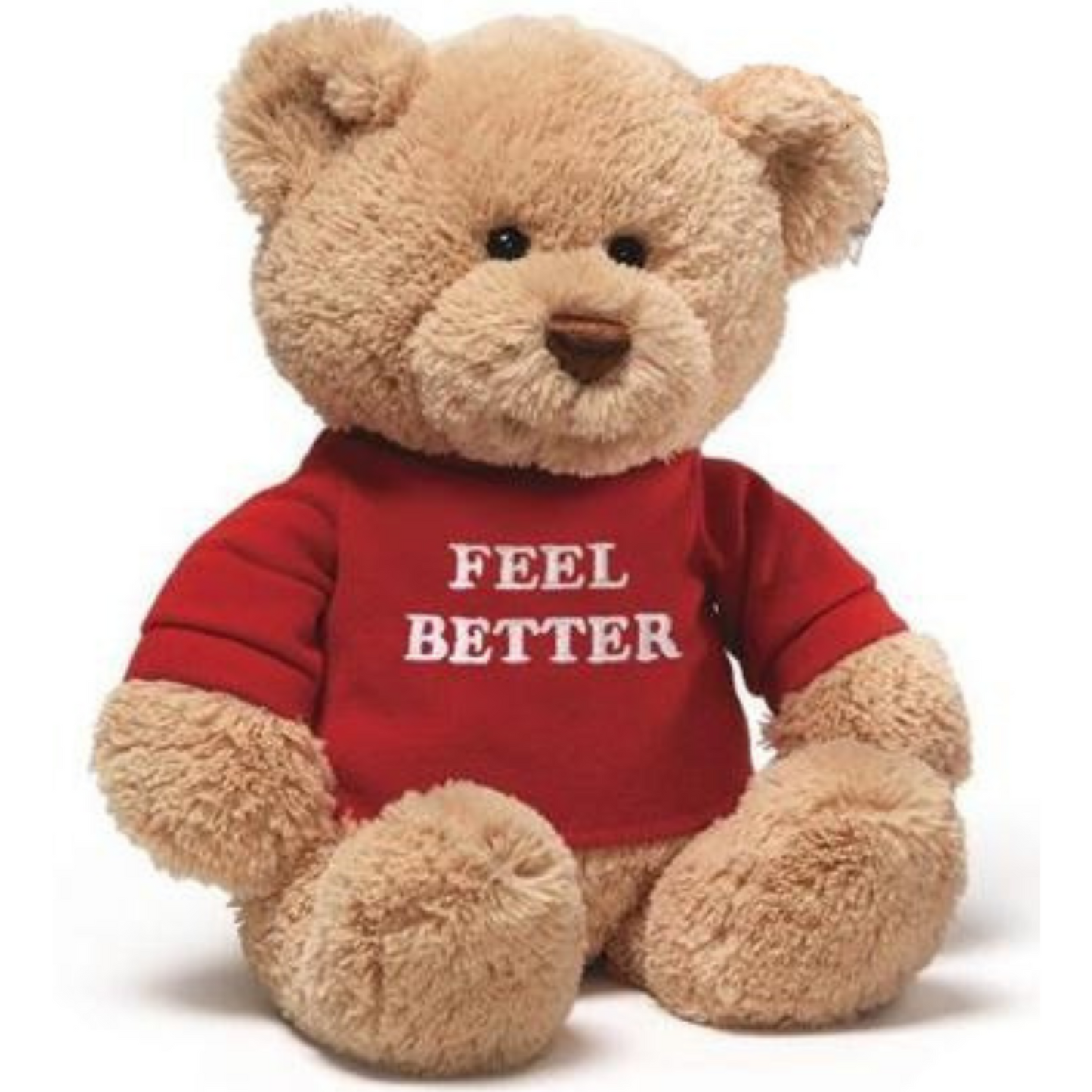 Gund Feel Better Bear With T-Shirt