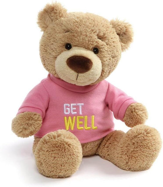 Gund Get Well Bear and Soup